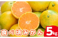 A-084 ＜期間限定＞食べ頃みかん(約5kg・1箱)霧島の地で甘く育った温州ミカンをお届け【Green Fingers野元果樹園】