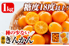 A-085 ＜期間限定！2024年1月中旬～2月下旬の間に順次発送予定＞種の少ない霧島きんかん(約1kg)【さくら農園】霧島市 金柑 フルーツ 果物