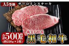 C-030 鹿児島県産黒毛和牛＜A5等級＞黒毛和牛サーロインステーキ約250ｇ×2枚【きりしま畜産】肉 牛肉 サーロイン ステーキ