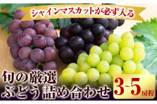 B-034 ＜期間限定！2024年8月下旬～10月下旬の間に発送予定＞ぶどう詰め合わせ(3～5房程度)シャインマスカットの他、ピオーネ・クインニーナ等その時旬の葡萄をお届け【岩元農園】霧島市 果物 フルーツ 詰め合わせ