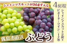 B-052 ＜先行予約受付中！2022年9月中に発送予定＞ぶどうセットB！シャインマスカットが2房必ず入る！その時一番おいしい旬の葡萄詰め合わせ(3kg以上、4房程度)【あきひろ観光農園】