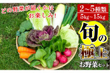 A-091 「極野菜」旬の極上お野菜セット【百姓道有元農場】霧島市 国産 詰め合わせ 食材 お楽しみ