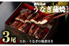 D-037 鹿児島産うなぎ蒲焼セット【うなぎの尾方】霧島市 国産 鹿児島県産うなぎ 蒲焼き