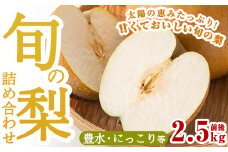 A-138 ＜期間限定！2025年8月中旬～10月上旬の間に発送予定＞梨詰め合わせ(約2.5kg前後)【さくら農園】なし 梨 豊水 フルーツ 果物 期間限定