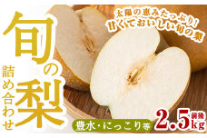 A-138 ＜期間限定！2025年8月中旬～10月上旬の間に発送予定＞梨詰め合わせ(約2.5kg前後)【さくら農園】なし 梨 豊水 フルーツ 果物 期間限定