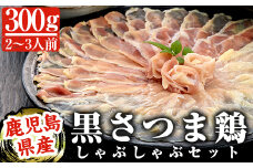 A-137 黒さつま鶏しゃぶしゃぶセット(2～3人前)【カゴシマバンズ】霧島市 鶏肉 鳥肉 お鍋