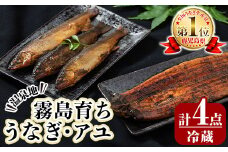 B0-160 数量限定！霧島市育ちのあの「うなぎ」と霧島アユ子持ち甘露煮詰め合わせ(計4点)【田代水産】