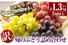 A0-248 ＜期間限定！2025年8月下旬～10月末までの間に発送予定＞《訳あり・数量限定》シャインマスカット入り旬のぶどう・ご家庭用詰め合わせ(計1.3kg以上・3房以上)【二月田ぶどう園】