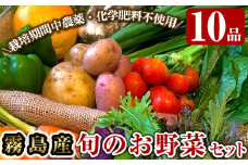A2-011 霧島産！旬の野菜セット(季節の野菜10品)【有機ファームえん】
