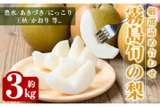 A0-266＜期間限定！2024年8月中旬～11月中旬頃発送予定＞霧島の旬の梨(約3kg・1種類)【岩元農園】霧島市 果物 フルーツ なし ナシ
