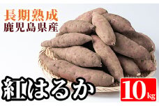 A2-012 鹿児島県産＜紅はるか＞土付き(10kg)【フレッシュジャパン鹿児島】さつまいも サツマイモ さつま芋 紅はるか 生芋