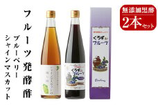 A8-007 フルーツ発酵酢シャインマスカット・ブルーベリー2本セット(各500ml)【重久盛一酢醸造場】 重久本舗 霧島市 黒酢 酢 お酢 ドリンク