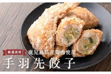 A0-293 手羽先餃子 (10本)【一番鶏】