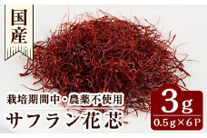 A0-296 国産サフラン花芯 計3g(0.5g×6P)【泉真一朗】