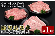 E0-014 鹿児島黒牛サーロインステーキ・すきやきセット(計1kg)＜E-301＞【JA】