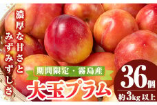 A0-314 ＜先行予約受付中！2025年5月下旬～6月下旬の間に発送予定＞大玉プラム(36個・約3kg以上)【福岡果樹園】霧島市 国産 果物 フルーツ 果実 プラム すもも スモモ ギフト