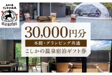 P1-031 美肌の湯こしかの温泉宿泊ギフト券(30,000円分)【こしかの温泉】旅行 宿 チケット ギフト券 キャンプ 源泉かけ流し 温泉 グランピング 温泉旅館グランピング 鹿児島 霧島 SPA 露天風呂 サウナ 水風呂 ドームテント アウトドア体験 BBQ