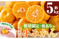 A0-334 ＜数量限定！先行予約受付中・2024年11月下旬～12月中旬の間に発送予定＞ 鹿児島小みかん(約5kg)糖度が約15度と甘味が詰まった霧島の小ミカンをお届け【福岡果樹園】