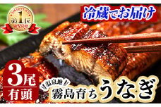 B-128-RZ ＜冷蔵でお届け＞霧島市育ちのあの「うなぎ」150～170g×3尾【田代水産】霧島市 うなぎ蒲焼 国産 鹿児島 うなぎ 鰻 ウナギ 高級 蒲焼き 蒲焼 かばやき タレ