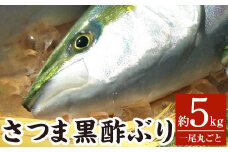 F0-009 さつま黒酢ぶり(下処理なし・一尾 約5kg)【かごジン】霧島市 国産 魚 鰤 ブリ ぶり 養殖 海鮮 刺身 煮物 冷蔵 
