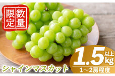 B0-206 ＜期間限定！2025年8月中旬～10月中旬の間に発送予定＞数量限定！シャインマスカット(約1.5kg以上)【さくら農園】霧島市 ぶどう シャインマスカット フルーツ 果物 期間限定
