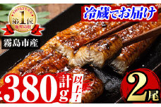 A5-034-RZ ＜冷蔵でお届け＞ 特別サイズ！霧島産うなぎ蒲焼き計380g以上(190g超×2尾)【田代水産】霧島市 うなぎ蒲焼 国産 鹿児島 うなぎ 鰻 ウナギ 高級 蒲焼き 蒲焼 かばやき タレ