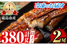 A5-034-RT ＜冷凍でお届け＞ 特別サイズ！霧島産うなぎ蒲焼き計380g以上(190g超×2尾)【田代水産】霧島市 うなぎ蒲焼 国産 鹿児島 うなぎ 鰻 ウナギ 高級 蒲焼き 蒲焼 かばやき タレ