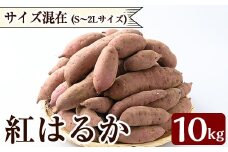 K-072 《数量限定》紅はるか10kg(生芋)【泉真一朗】霧島市 さつまいも サツマイモ 芋 さつま芋 熟成