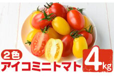  K-105 ＜期間限定！2024年2月上旬～4月中旬の間に発送予定＞農家直送(アイコ)ミニトマト4kg(2色)【夢源FARM】国産 野菜 やさい トマト とまと ミニトマト 完熟