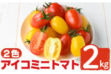  K-108 ＜期間限定！2024年2月上旬～4月下旬の間に発送予定＞農家直送(アイコ)ミニトマト2kg(2色)【夢源FARM】国産 野菜 やさい トマト とまと ミニトマト 完熟