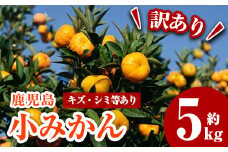 K-138 《期間限定》【訳あり】小みかん 5kg【AGRI KAKUIDA】霧島市 みかん ミカン 5キロ フルーツ 果物 蜜柑 柑橘 常温保存 