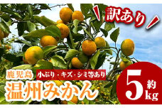 K-137 《期間限定》【訳あり】温州みかん 5kg【AGRI KAKUIDA】霧島市 みかん ミカン 5キロ フルーツ 果物 蜜柑 柑橘 常温保存  