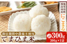 K-198-A 《令和6年産》てまひま米(品種：にこまる)(計300g：300g×1袋)【末蜜農園】霧島市 お米 精米 白米 米 こめ コメ ご飯 ごはん 栽培期間中農薬不使用