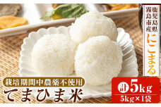 K-198-B 《令和6年産》てまひま米(品種：にこまる)(計5kg：5kg×1袋)【末蜜農園】霧島市 お米 精米 白米 米 こめ コメ ご飯 ごはん 栽培期間中農薬不使用
