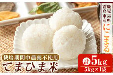 K-198-B 《令和6年産》てまひま米(品種：にこまる)(計5kg：5kg×1袋)【末蜜農園】霧島市 お米 精米 白米 米 こめ コメ ご飯 ごはん 栽培期間中農薬不使用