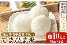 K-198-C 《令和6年産》てまひま米(品種：にこまる)(計10kg：5kg×2袋)【末蜜農園】霧島市 お米 精米 白米 米 こめ コメ ご飯 ごはん 栽培期間中農薬不使用