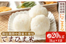 K-198-D 《令和6年産》てまひま米(品種：にこまる)(計20kg：5kg×4袋)【末蜜農園】霧島市 お米 精米 白米 米 こめ コメ ご飯 ごはん 栽培期間中農薬不使用