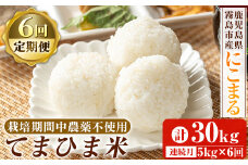 K-198-F 【6回定期便】《令和6年産》てまひま米(品種：にこまる)(計30kg：5kg×6回)【末蜜農園】霧島市 お米 精米 白米 米 こめ コメ ご飯 ごはん 定期便 栽培期間中農薬不使用