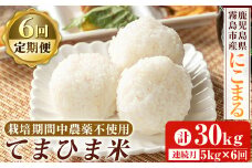 K-198-F 【6回定期便】《令和6年産》てまひま米(品種：にこまる)(計30kg：5kg×6回)【末蜜農園】霧島市 お米 精米 白米 米 こめ コメ ご飯 ごはん 定期便 栽培期間中農薬不使用