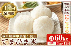 K-198-G 【12回定期便】《令和6年産》てまひま米(品種：にこまる)(計60kg：5kg×12回)【末蜜農園】霧島市 お米 精米 白米 米 こめ コメ ご飯 ごはん 定期便 栽培期間中農薬不使用