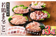 K-213 鹿児島県産 若鶏まるごとセット (計3.05kg)【TRINITY】 霧島市 国産 小分け 冷凍 真空パック 鶏肉 鳥肉 詰め合わせ