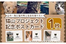 K-270 猫山プロジェクト記念ポストカード(1枚)【chichinpuipui王国★猫山プロジェクト】霧島市 支援 応援 猫 動物
