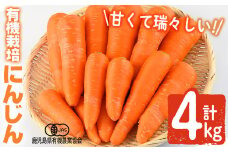 K-226 有機にんじん（合計4kg) 【もりやま農園】霧島市 国産 有機栽培 野菜 やさい 人参 ニンジン