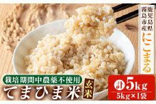 K-391-B 《令和6年産》てまひま米・玄米(品種：にこまる)(計5kg：5kg×1袋)【末蜜農園】霧島市 お米 玄米 米 こめ コメ ご飯 ごはん 栽培期間中農薬不使用