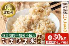 K-391-F 【6回定期便】《令和6年産》てまひま米・玄米(品種：にこまる)(計30kg：5kg×6回)【末蜜農園】霧島市 お米 玄米 米 こめ コメ ご飯 ごはん 定期便 栽培期間中農薬不使用