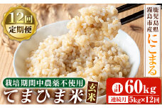 K-391-G 【12回定期便】《令和6年産》てまひま米・玄米(品種：にこまる)(計60kg：5kg×12回)【末蜜農園】霧島市 お米 玄米 米 こめ コメ ご飯 ごはん 定期便 栽培期間中農薬不使用