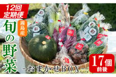 K-225-B ＜定期便・全12回＞霧島市産の野菜おまかせBOX(17個前後)【FoodBase】霧島市 国産 野菜 やさい セット せっと おまかせ 詰め合わせ 旬 定期便