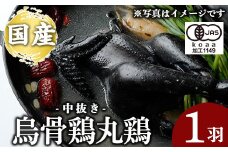 K-333 国産！オーガニック烏骨鶏丸鶏(中抜き)1羽【お多福たまご】霧島市 国産 九州産 鹿児島県産 烏骨鶏 うこっけい 鶏肉 鳥肉 鶏 とり 丸どり 無投薬 ワクチンフリー オーガニックチキン