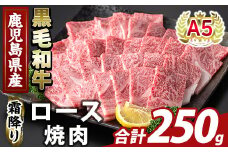K-482-A 鹿児島県産A５等級黒毛和牛霜降り上ロース焼肉(計250g)【ふるさと産直バザール】霧島市 牛肉 国産 鹿児島県産 ロース 焼肉 肉 精肉