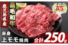 K-483-A 鹿児島県産A5等級黒毛和牛赤身上モモ焼肉(計250g)【ふるさと産直バザール】霧島市 牛肉 国産 鹿児島県産 モモ 焼肉 肉 精肉